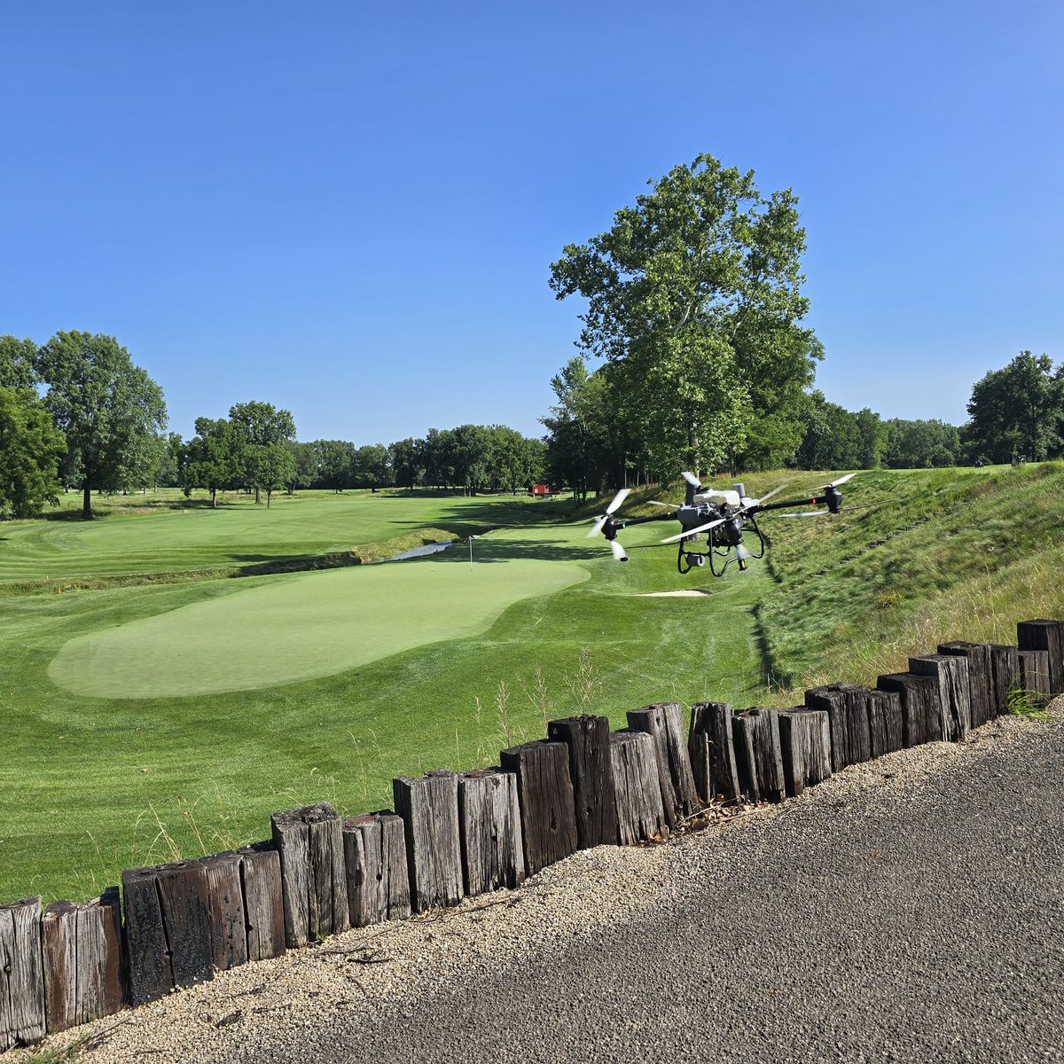 Spray drone treating a steep native bank beside a putting green